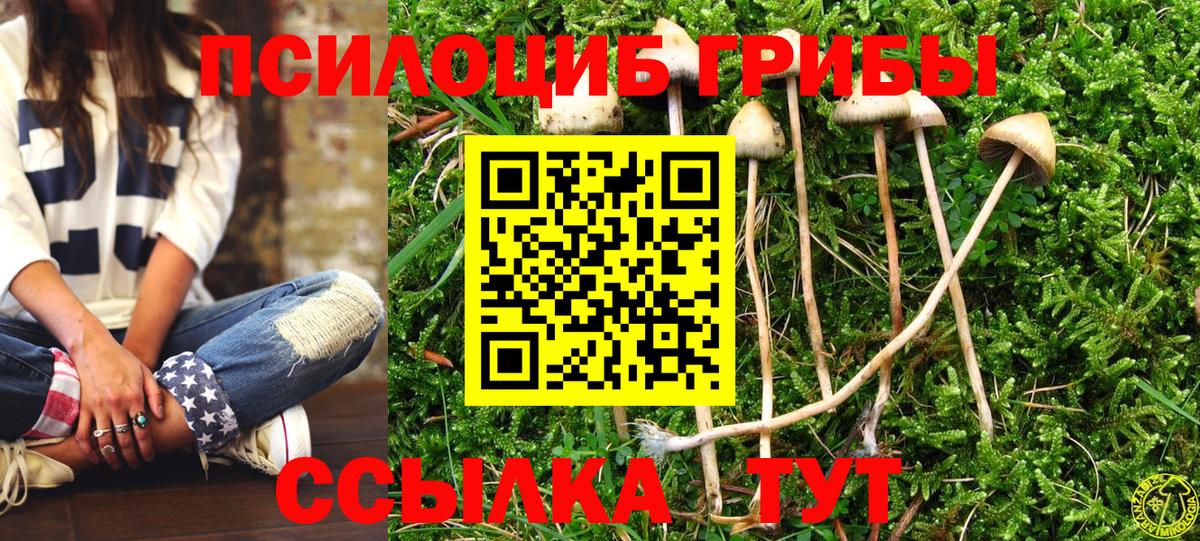 Изобильный  Галлюциногенные грибы прущие грибы  Вход с VPN  Псилоцибиновые грибы GOLDEN TEACHER 