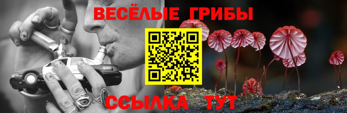 Галлюциногенные грибы Psilocybe Изобильный